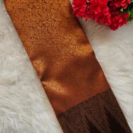 WhatsApp Image 2026-01-29 at 4.41.16 PM