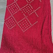 WhatsApp Image 2026-03-14 at 7.00.27 PM