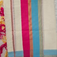 WhatsApp Image 2026-03-25 at 2.19.20 PM (2)