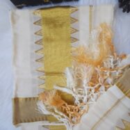 WhatsApp Image 2026-04-06 at 1.00.41 PM (1)