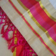 WhatsApp Image 2026-04-06 at 1.00.51 PM